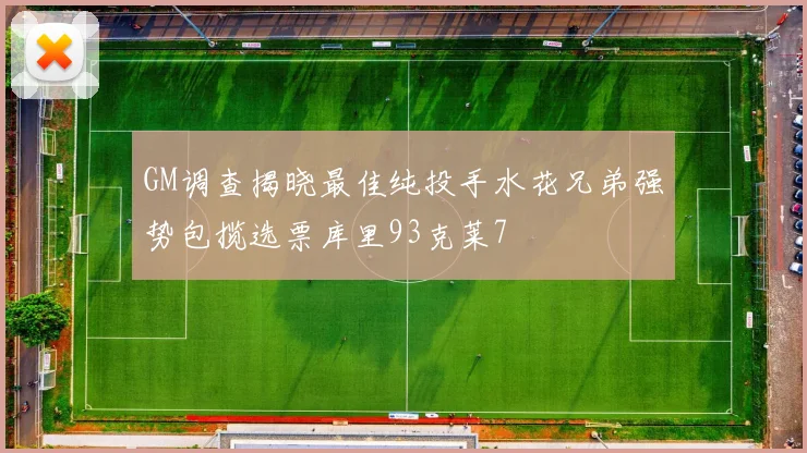 GM调查揭晓最佳纯投手水花兄弟强势包揽选票库里93克莱7