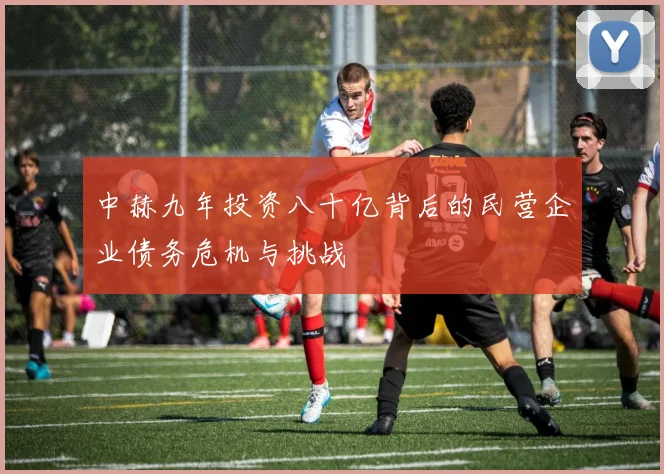 中赫九年投资八十亿背后的民营企业债务危机与挑战