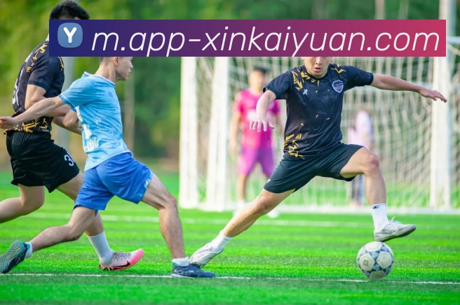 开元体育平台生态图